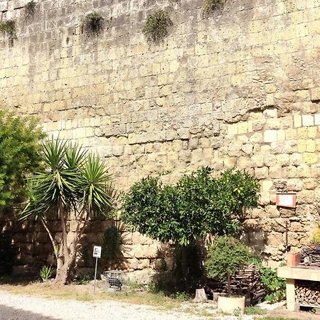 La Torre Lägenhet Tarquinia Exteriör bild
