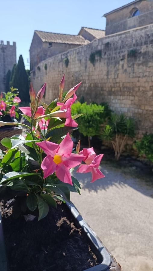 La Torre Lägenhet Tarquinia Exteriör bild